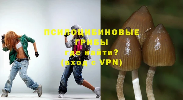 MDMA Premium VHQ Беломорск