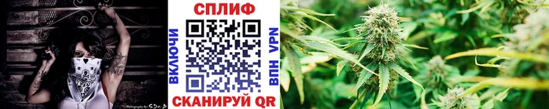 Шишки марихуана Bruce Banner Волгореченск